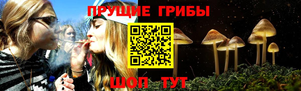 Псилоцибиновые грибы Psilocybe Мытищи