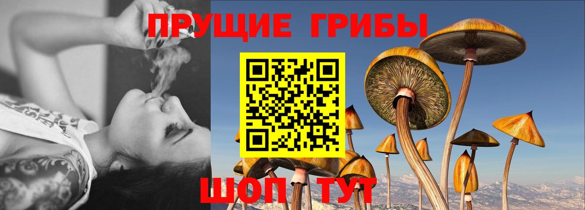 наркошоп  Вход с VPN  Мытищи  Псилоцибиновые грибы Psilocybine cubensis  Галлюциногенные грибы MAGIC MUSHROOMS 